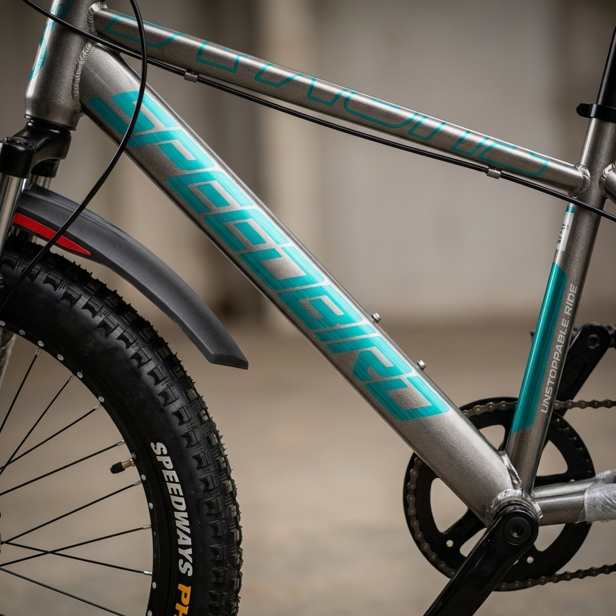 SPEEDBIRD THOMAS 24*300 SINGLE SPEED 2